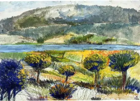 Panorámica dun río galego