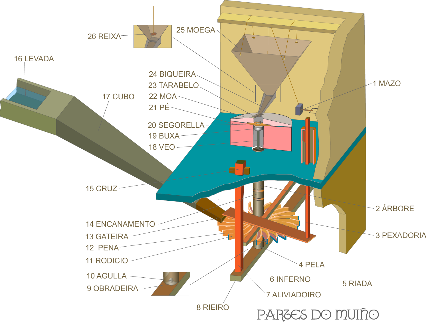 Partes do muíño hidráulico ou de auga