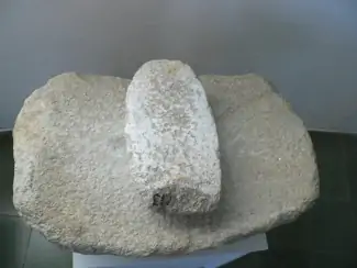 muiño navicular
